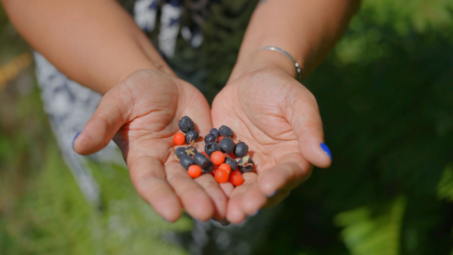 Looking Forward: Celebrating the Future of Indigenous Business 